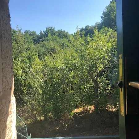 Relaxing In Rural