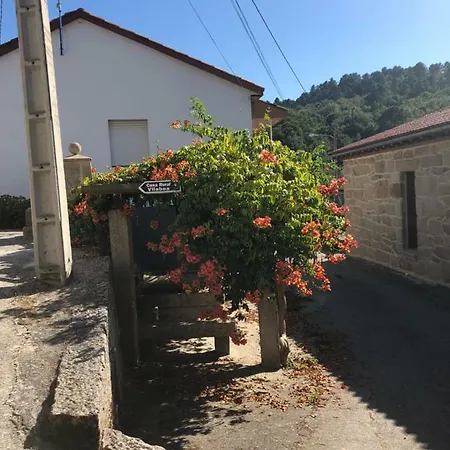 Relaxing In Rural 阿拉力兹
